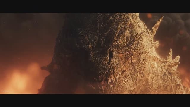 TXBXL - MADAGASCAR | Godzilla vs Kong