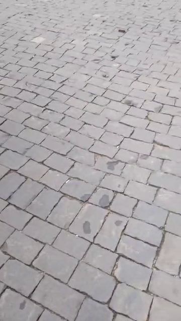1000019820.mp4