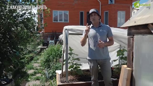 Подкормка огурцов золой — простой способ вырастить богатый урожай!