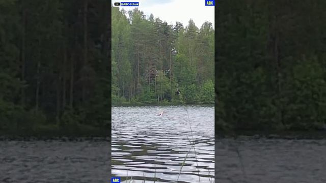 Черёмуховое озеро 21.06.25 #юныйпрадедбодрыйдед