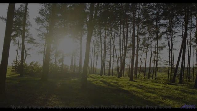 Музыка рождает эмоции сильнее любого шторма - Violences -- Roboy -- Le Petit chat doit mourir