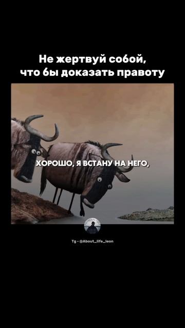 Зачем я тратил время на доказательства.. Tg - @About_life_leon  #успех #мотивация  #саморазвитие