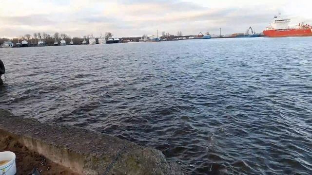 Рыбалка на Финском заливе. Отчёт за 14.11.2021. Угольная гавань.