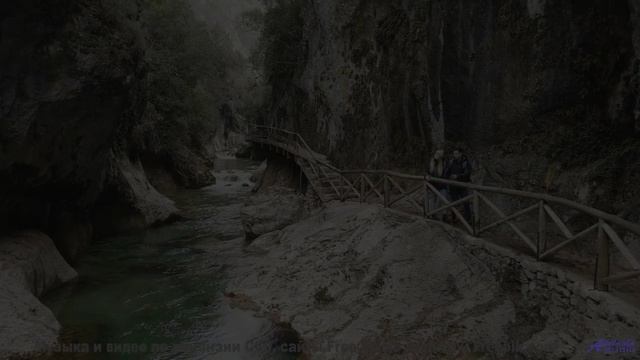 Звуки, материализующие мысли - где граница между наукой и магией - Champagne -- Quint Baker -- Psych