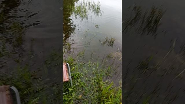 1000020514.mp4