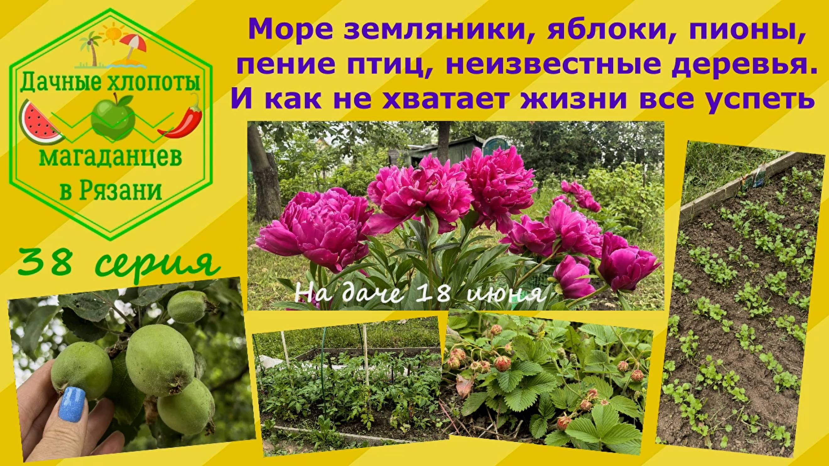 Море земляники, яблоки, пение птиц, неизвестные деревья. И как не хватает жизни все успеть.38 серия