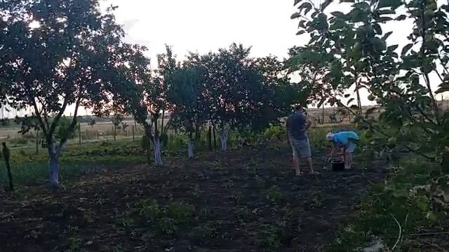 Три Поколения. 20 июня 2025 г.