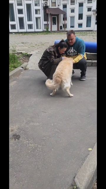 1000489794.mp4