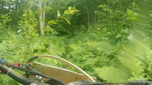 Тв по лайту