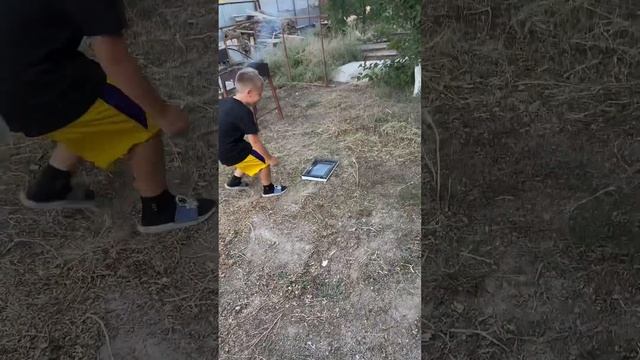 Албанка и микроволновка. Кто кого!? #fireworks #петарда