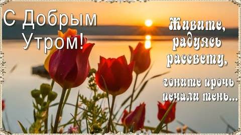 С Добрым Утром! 💖 Ничего прекрасней нету, чем данный Богом Новый День…! 💖 Живите, радуясь рассвету