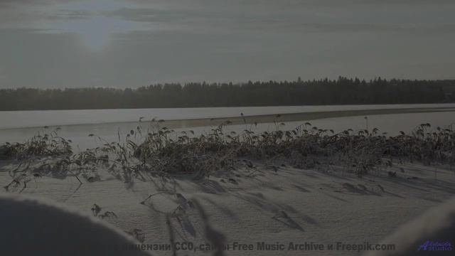 Эти звуки - НЕ ветер и не птицы! - Squirrel Fever -- Krestovsky -- Song of the Month Club 2019