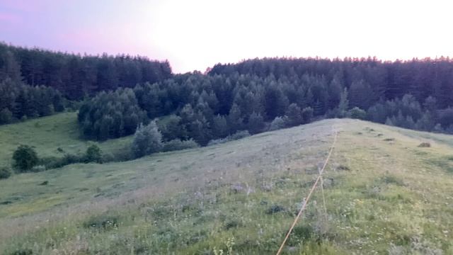 Дома 🏡