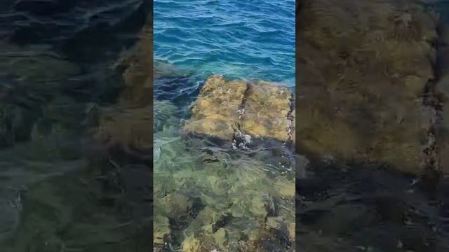 краски