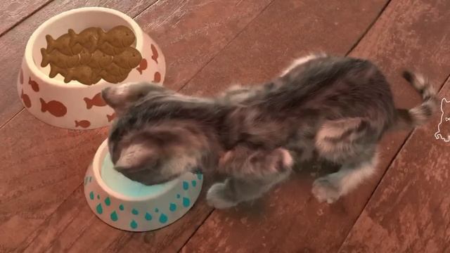 ПРИКЛЮЧЕНИЕ МАЛЕНЬКОГО КОТЕНКА №3. ИГРА