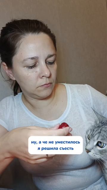 Он великолепен!.