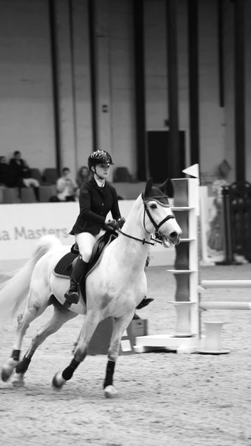 ️ #horse #equestrian #showjumping #конныйспорт #riding #спорт #horseriding #horsejumping