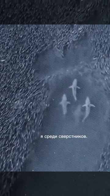 1000015480.mp4