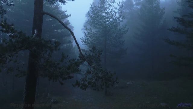 Пейзажи расцветают ярче, когда включается этот трек - Sex With OS -- Mobile Steam Unit -- Live at WF