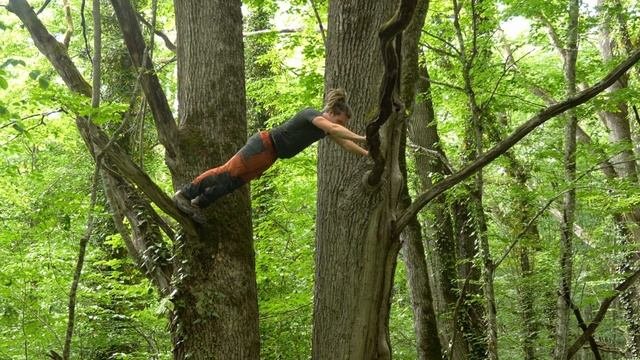 Treewalkers-мы лазаем по деревьям. Дендрологические экспедиции/терапевтические программы/приключения