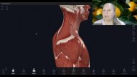 Шея и лопатка. Связь. Стабилизация лопатки. Часть 5. - Pro Fitness Education (720p, h264)