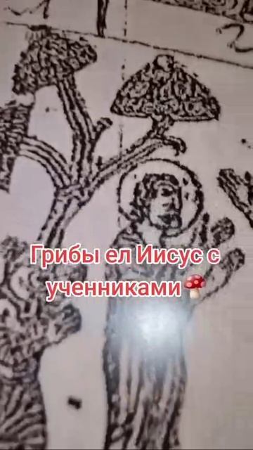 МухоМОРы паПИломы РУляТТ