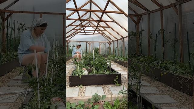 Мой будущий урожай #уралочка #уральскаядевушка