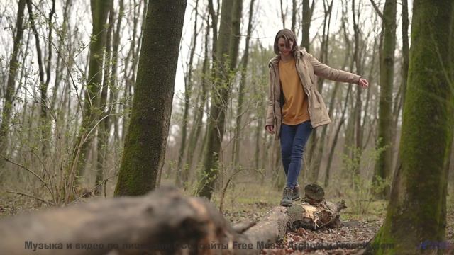 Музыка для киборгов - а вы сможете её воспринять - des castagnettes dans la nuit -- Jean Toba -- hui