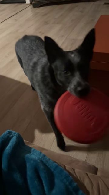 Поехали! Торопиться надо