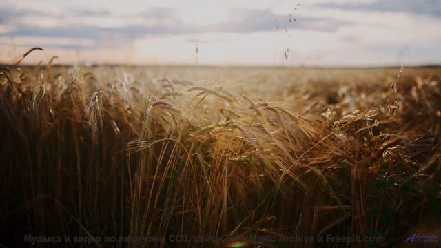 Кадры притягивают к себе, пока музыка пробирает насквозь - Amanecer (XXX) -- opo -- Estudios Indigen