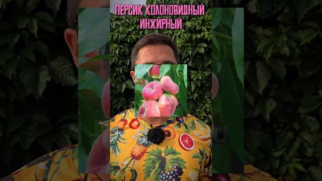 Персик или инжир? А почему не оба сразу?