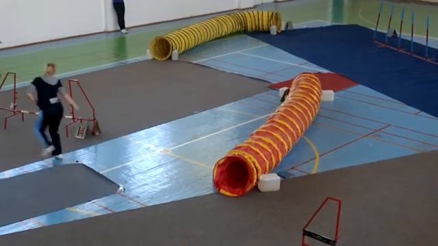 Джампинг Рокси (2 место Кубок Костромской обл.)