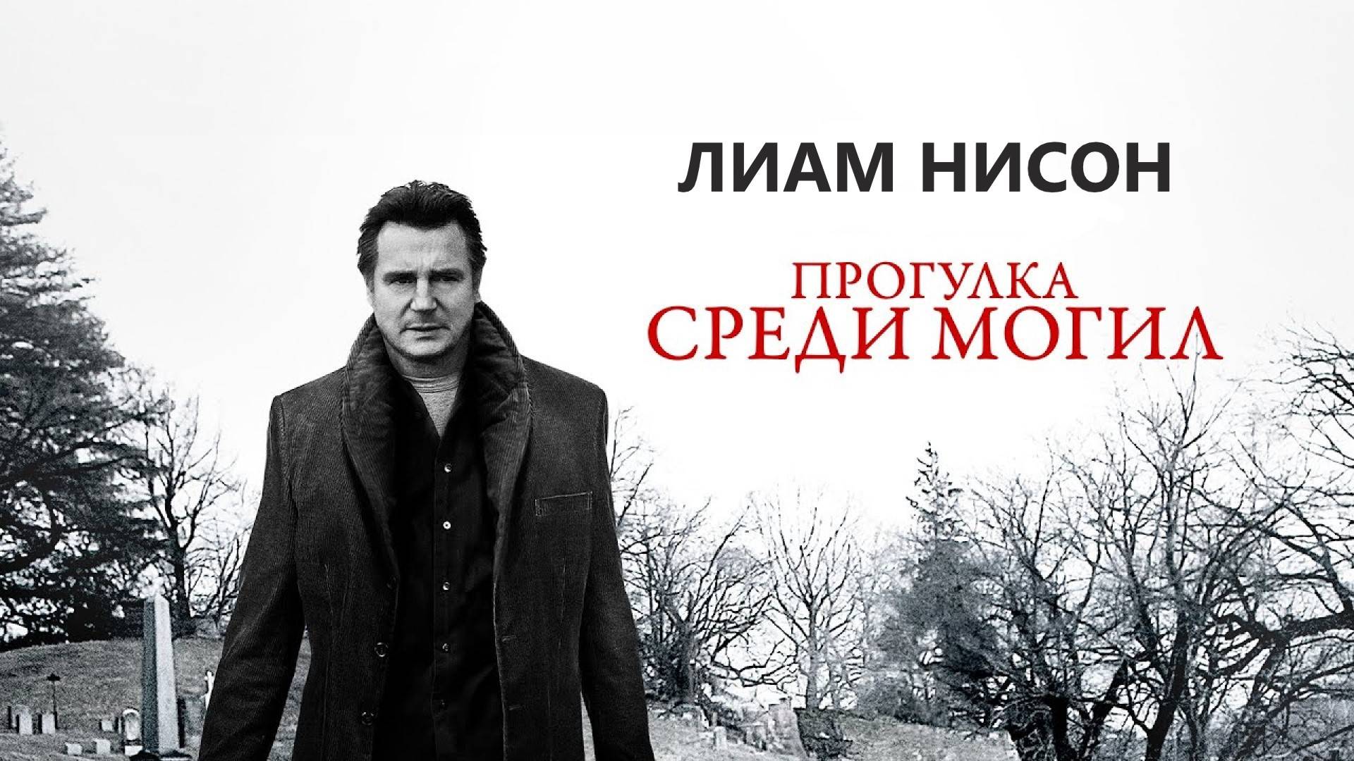 Прогулка среди могил (2014)