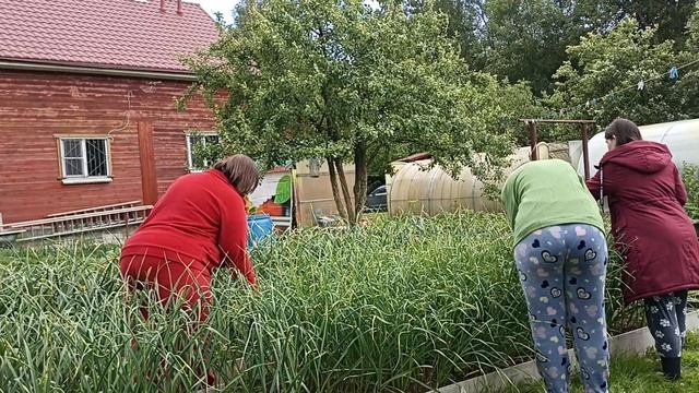 Мой дачный рай. Трудимся все.