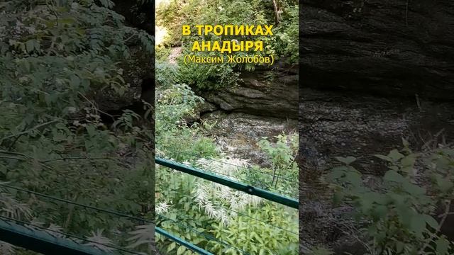 Максим Жолобов "В тропиках АнадырЯ"