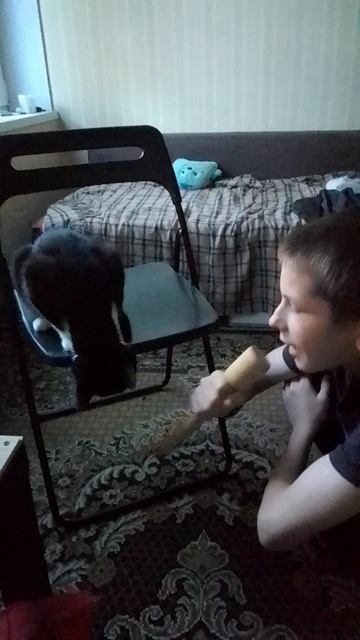 Интервью с котом!