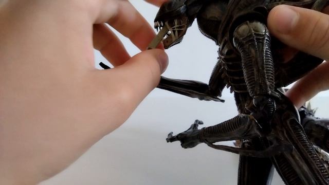 Чужой скорпион 🦂