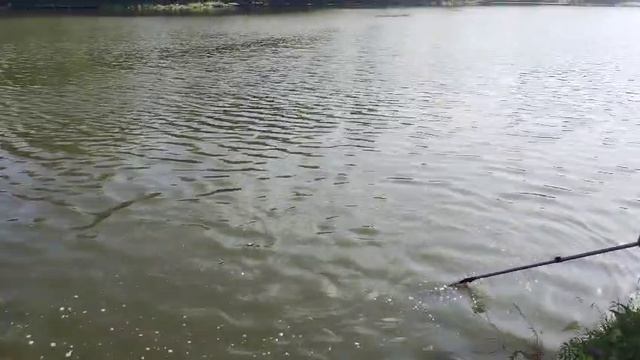 Вечер