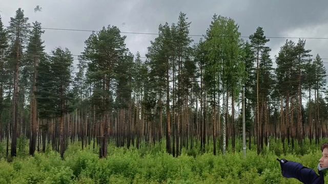 НЛО над Архангельской обл., или откуда на небе такие темные пятна?