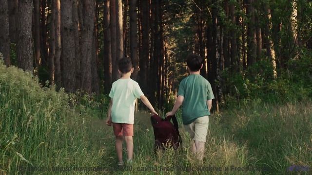 Когда пляж становится сценой, а волны - зрителями! - Sensual Folk -- Scott Holmes Music -- Indie-Pop