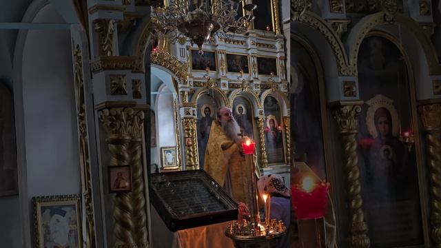 21.06.2025 - "Духом Святым всяка душа живится";  прот.Николай Цирке
