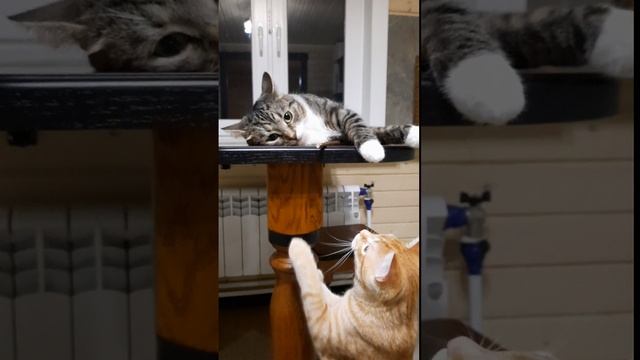 Игры с палочкой мататаби