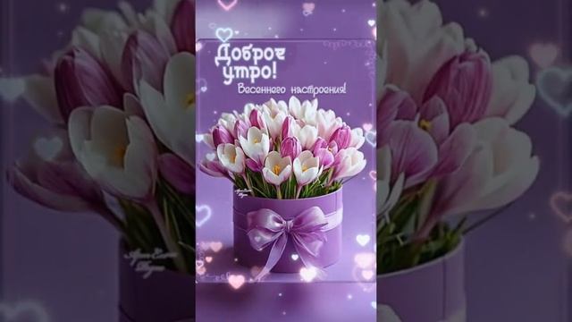 утро доброе друзья