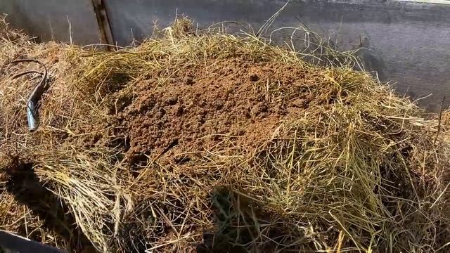 Лучшее удобрение своими руками! Рецепт приготовления компоста