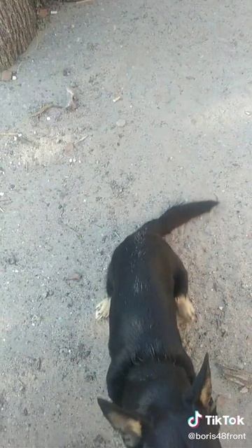 1000012490.mp4