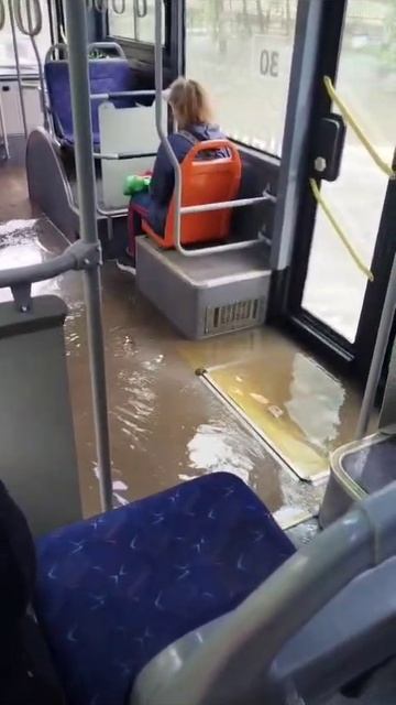 🔵 ВИДЕО НЕДЕЛИ
Благовещенск.
