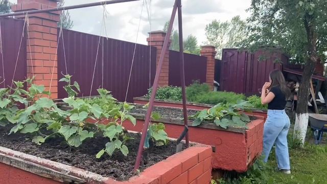 ПЬЁМ ВОДКУ С РУССКОЙ БАБУШКОЙ | Австралийцы пробуют традиционное русское застолье и культуру