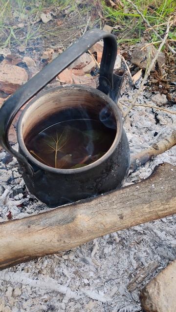 Чай на природе, 👌