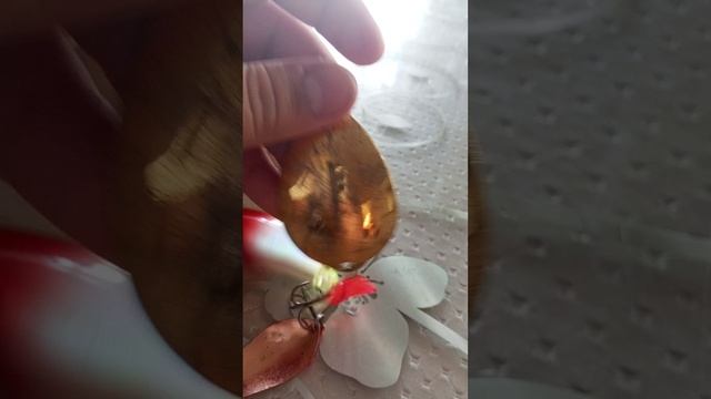 обзор на мои рыболовные блесны