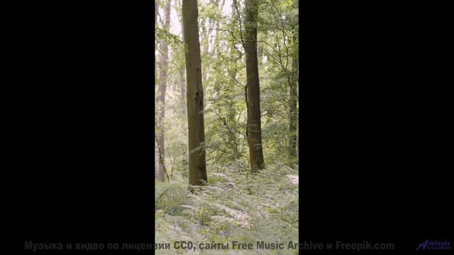 Каждая нота ложится на пейзаж точнее кисти художника - Kesh Ident 1 (insistent electronica) -- Keshc